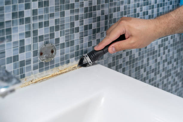 Best Commercial Mold Remediation in Bourbon, IN