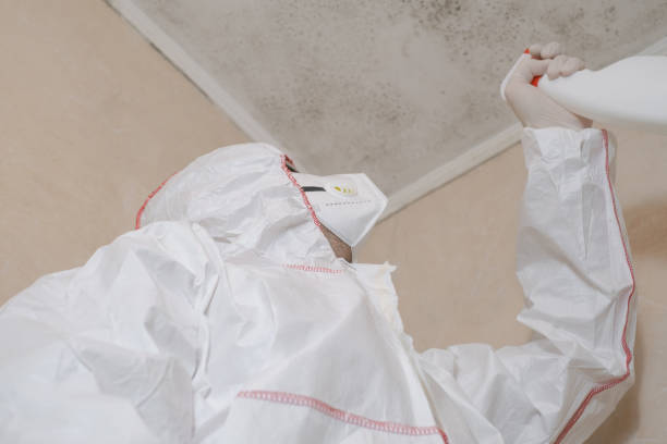 Best Mold Remediation for Specific Building Types in Bourbon, IN